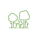 Facilitator Training & Certification