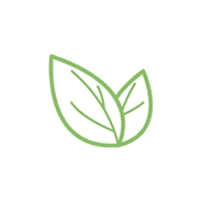 Connection and Authenticity