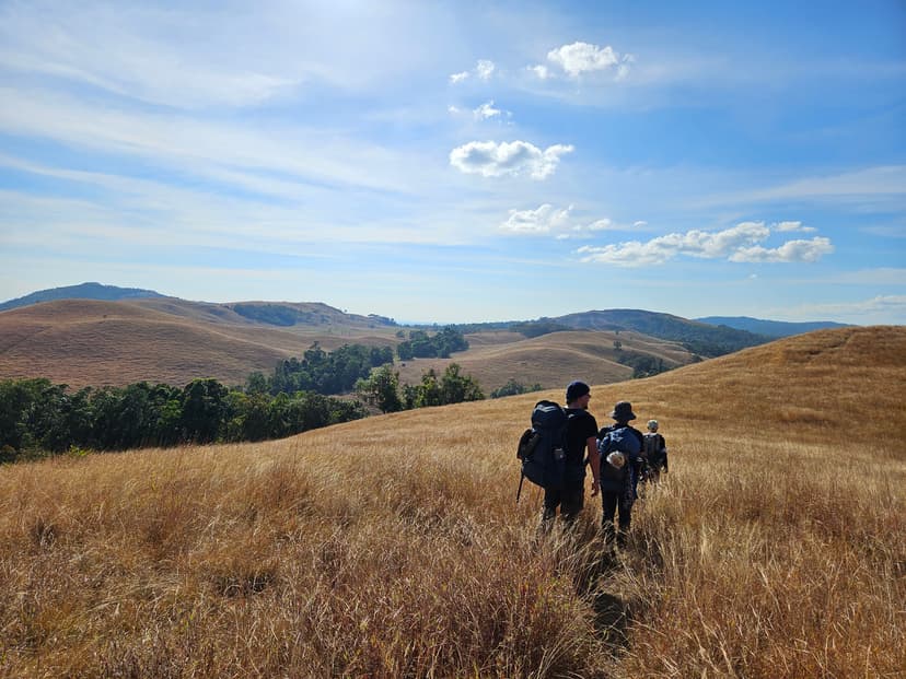 yep-academy-about-program-section