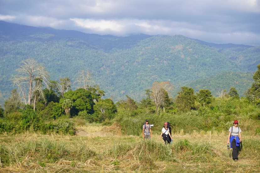 Courses and Nature Immersions