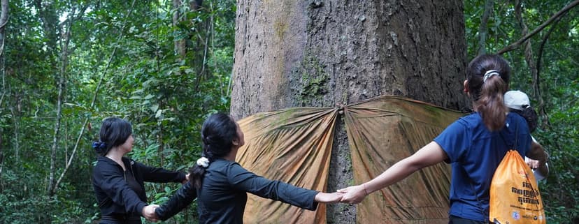 Courses and Nature Immersions