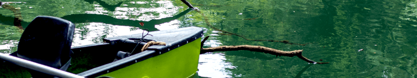 Tour and Expeditions