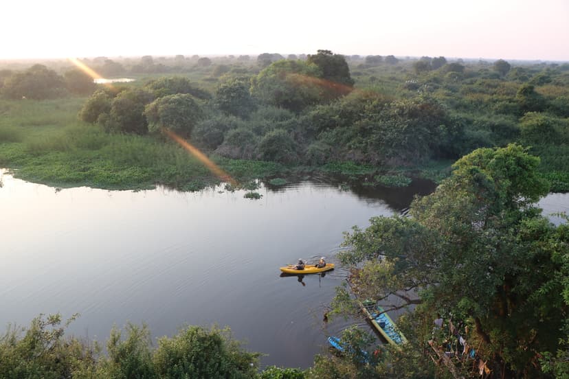 Tour and Expeditions