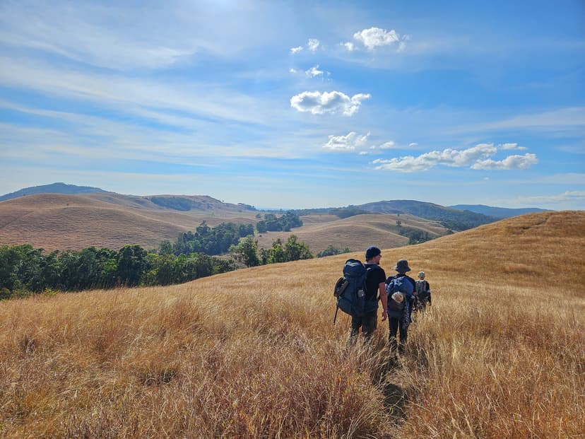 Tour and Expeditions