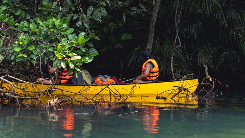 Tour and Expeditions