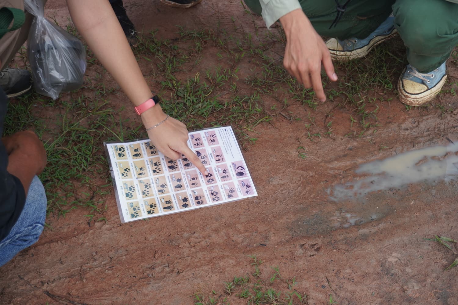 Youth Expeditions & Challenges overview