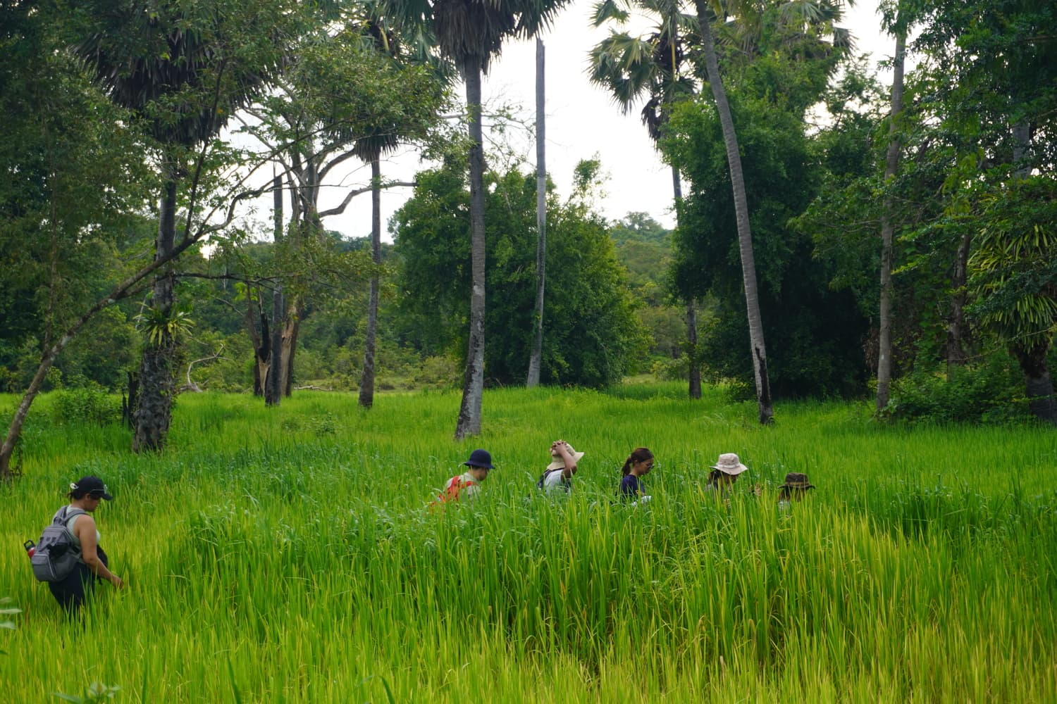 Youth Expeditions & Challenges overview