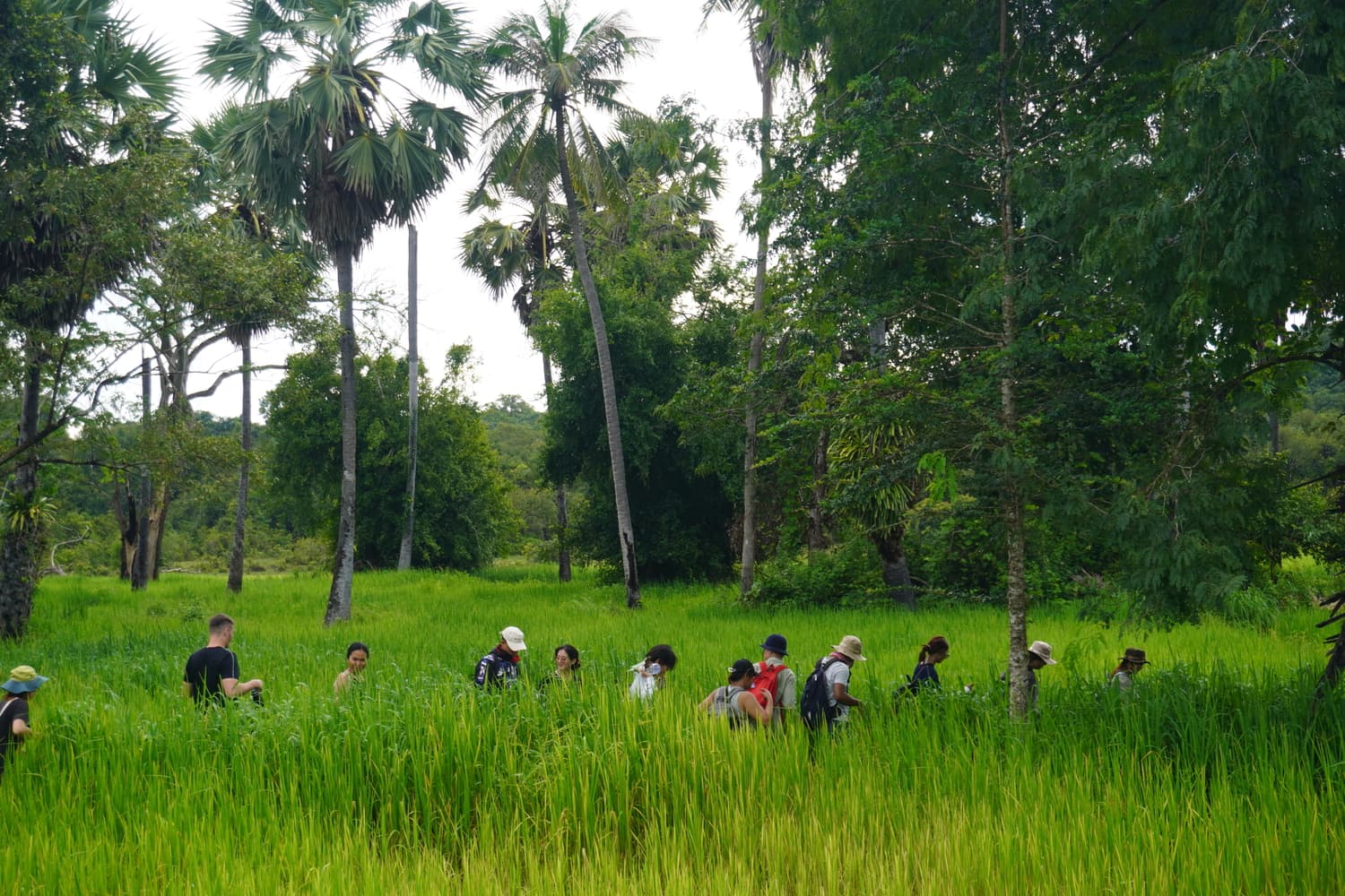 Youth Expeditions & Challenges overview