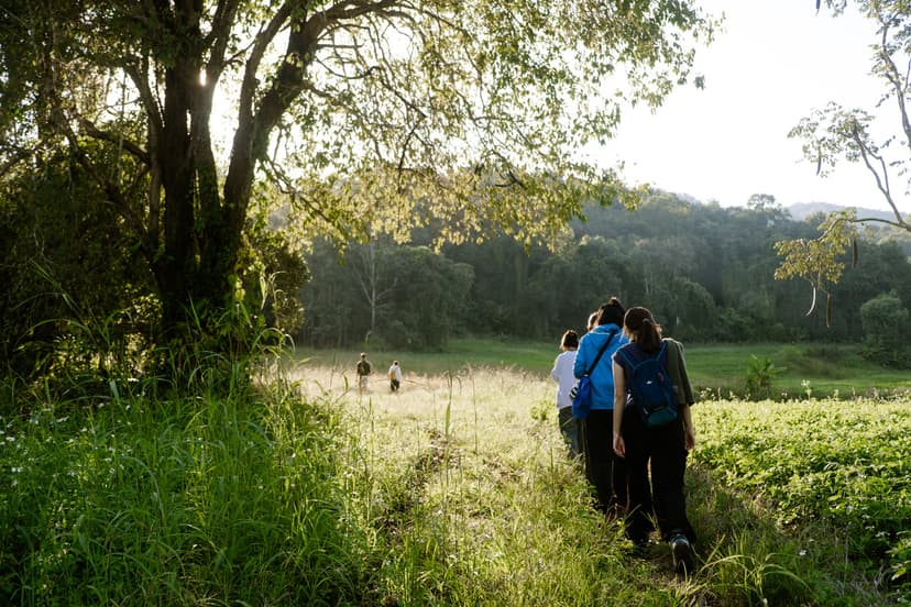 Courses and Nature Immersions