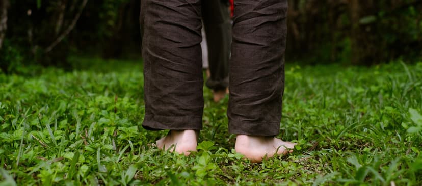 Courses and Nature Immersions