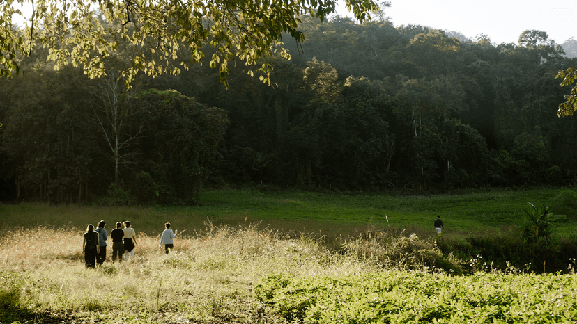 Courses and Nature Immersions