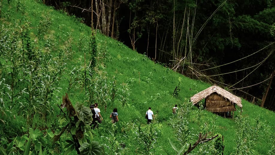 Into Nature Through the Senses