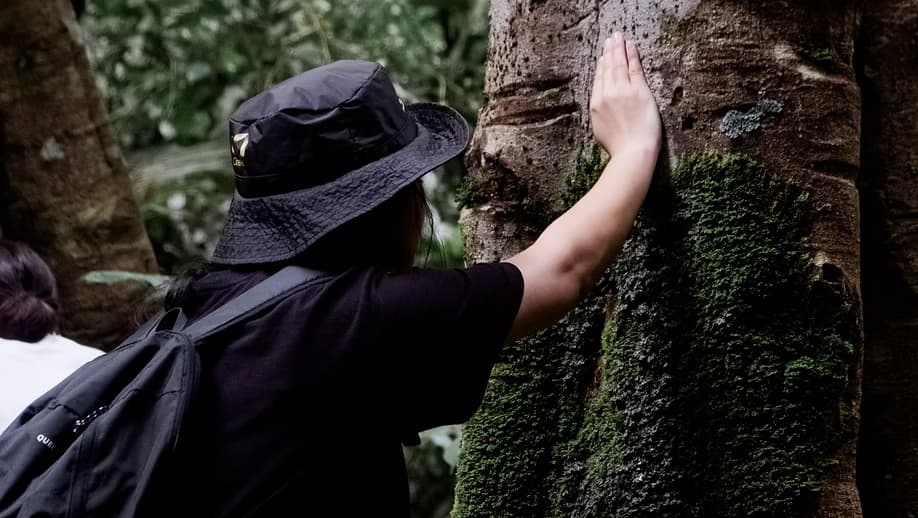 Wild Medicine: A Taster in Ecotherapy Facilitation