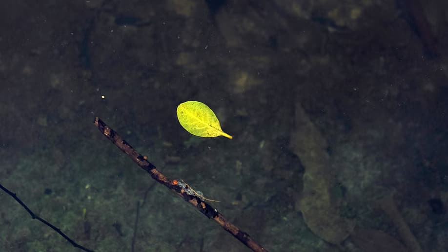 Outdoor Facilitation: Basic Skills & Foundations