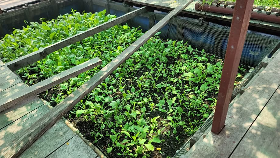 SUSTAINABLE LIFESTYLE SERIES: Our Home, Our Choice