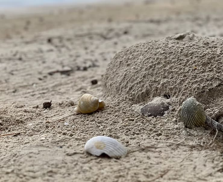 What to Reflect About as the Year Is Ending?